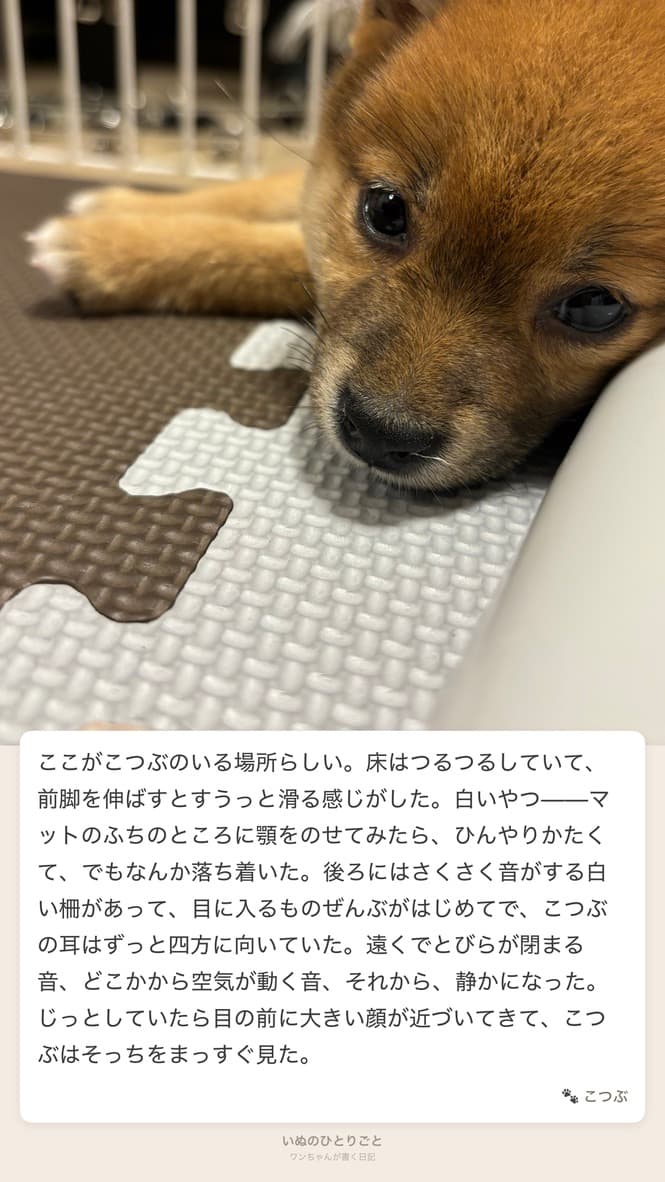 日記カード4